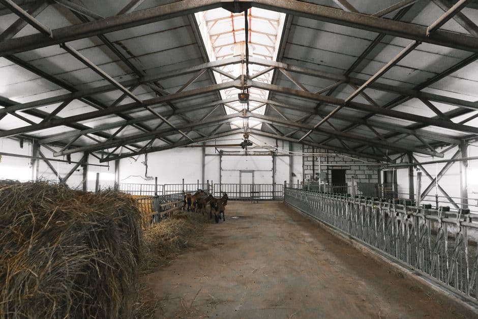 Nave ganadera de estructura metálica en entorno rural con cubierta de chapa y acceso para vehículos agrícolas