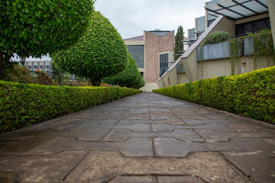 Colocación de adoquines en camino de jardín